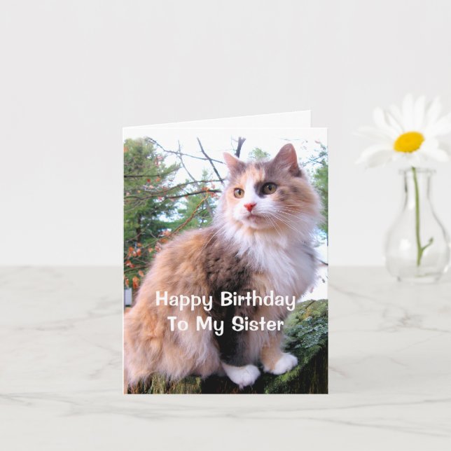 Calico Cat Birthday Sister Card (Small Plant)