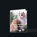 Calico Cat Birthday Sister Card<br><div class="desc">This birthday card for your cat-loving sister features a beautiful long-haired calico cat sitting on a tree stump in the fall. The cat's colours are butterscotch, grey, and white. On the front, the text says, "Happy Birthday To My Sister". The message inside the card says, "Wishing you all the love...</div>