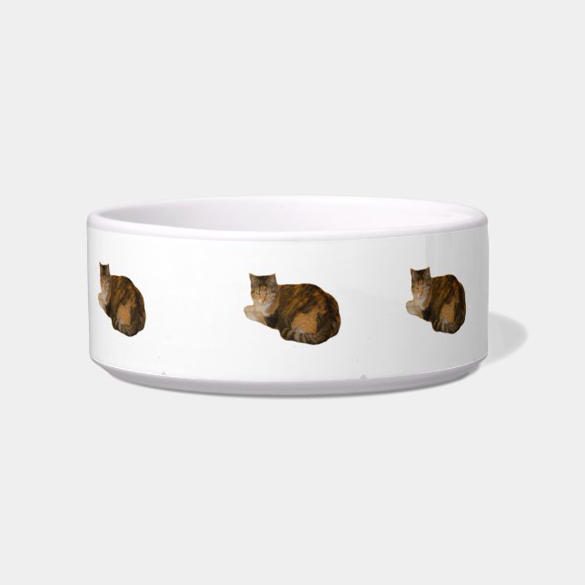Calico Cat Bowl (Front)