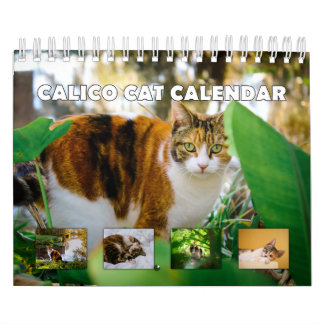 Calico Cat Calendar