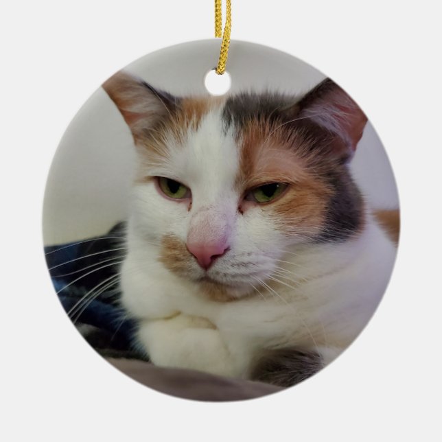 Calico cat ceramic ornament (Front)