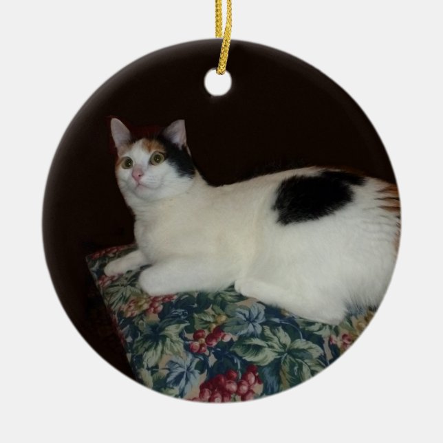 Calico Cat Ceramic Tree Decoration (Front)