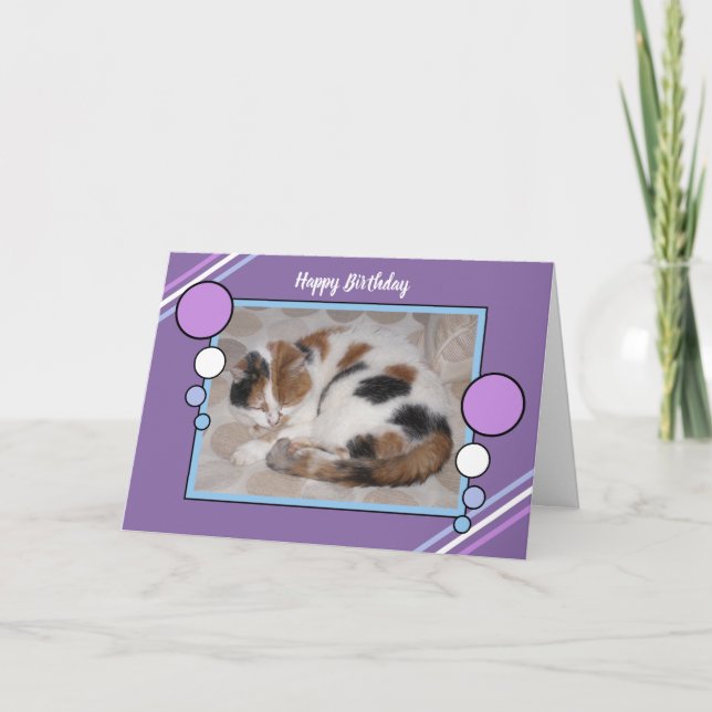 Calico cat curled up asleep photo purple blue card (Front)