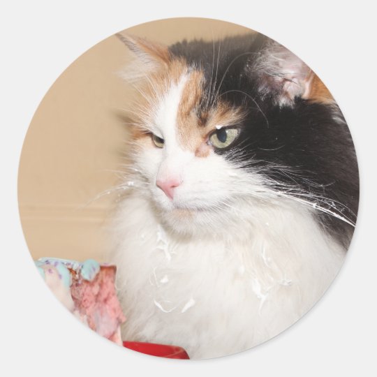Calico Cat Eats Birthday Cake Classic Round Sticker Zazzle Com Au