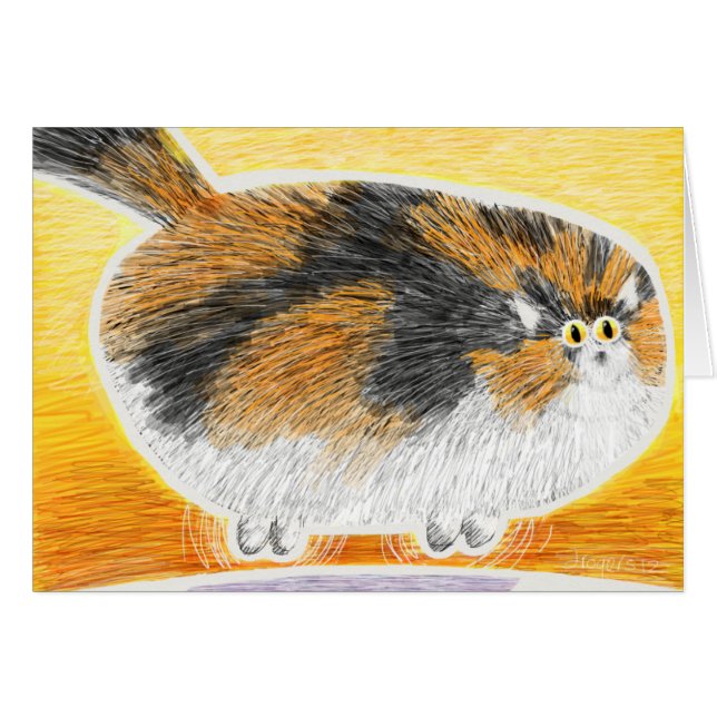 Calico cat floating (Front Horizontal)