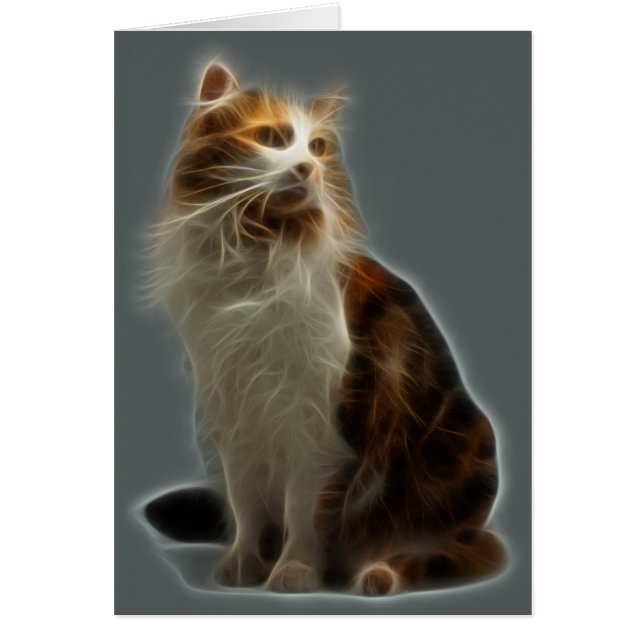 Calico Cat Fractal (Front)