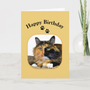 Happy Birthday Calico Cat Gifts on Zazzle AU
