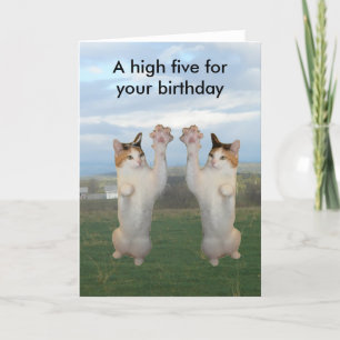 Calico Cat High Five Card