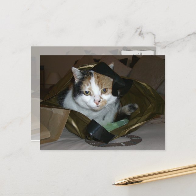 Calico cat in a shopping bag postcard (Front/Back In Situ)