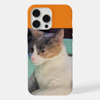 Calico Cat in Cat Bed iPhone 15 Pro Max Case