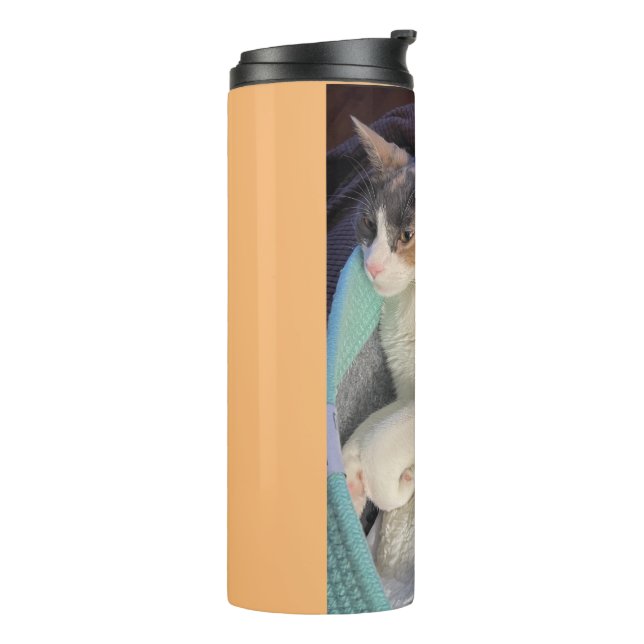 Calico Cat in Cat Bed Thermal Tumbler (Rotated Left)