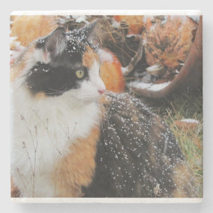 Calico Cat in Snow Storm Stone Coaster