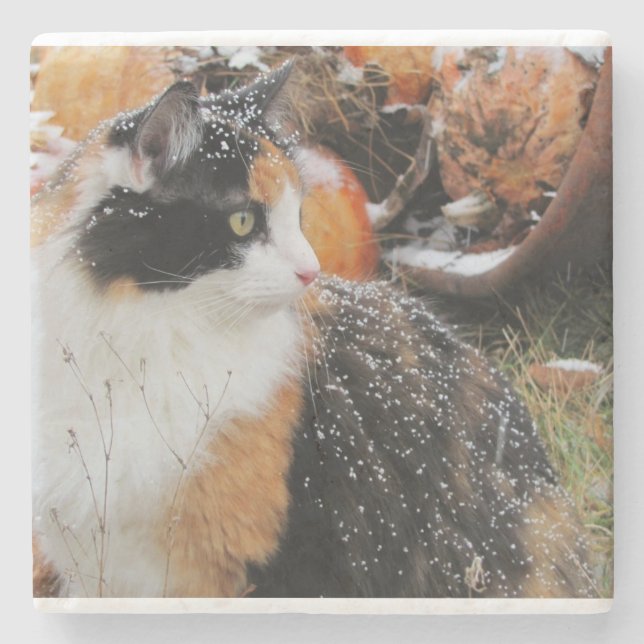 Calico Cat in Snow Storm Stone Coaster (Front)