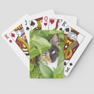 Calico Cat in the Zinnias Playing Cards