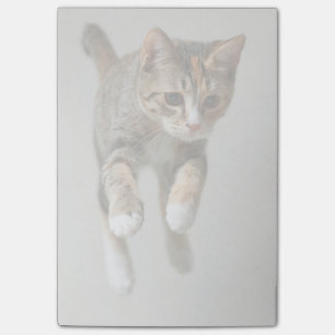 Calico Cat Jumping Post-it Notes