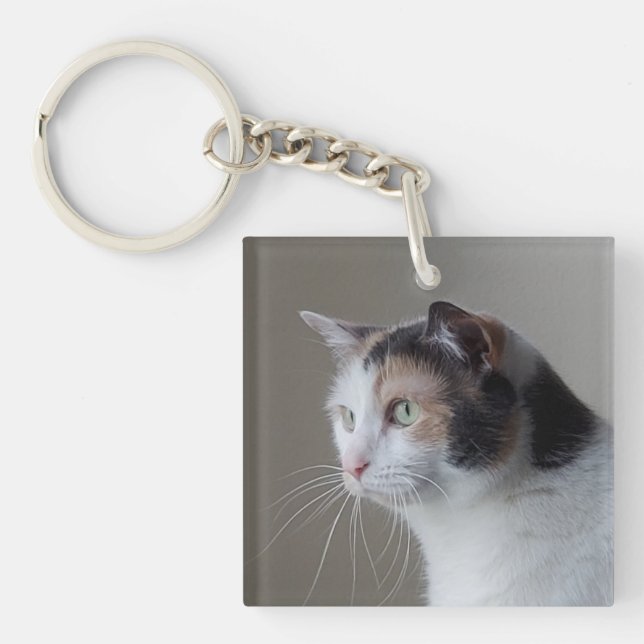 Calico cat key ring (Front)