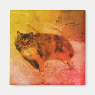 Calico Cat Magnet