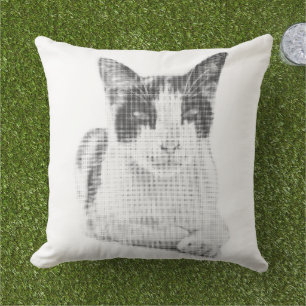 Calico Cat Minimal Halftone Cushion