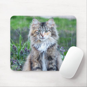 Calico Cat Mouse Pad