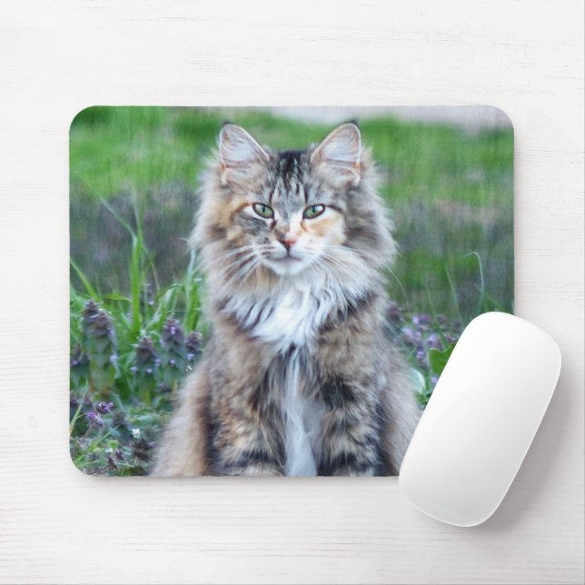 Calico Cat Mouse Pad (With Mouse)