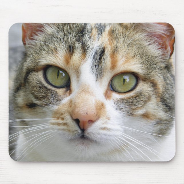 Calico Cat Mousepad (Front)