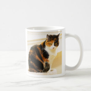Calico Cat Mug