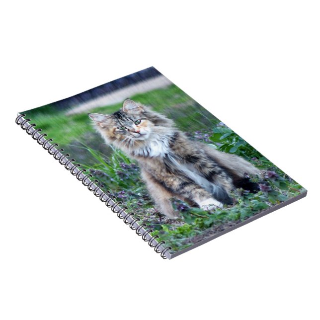 Calico Cat Notebook (Right Side)