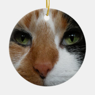 Calico cat ornament