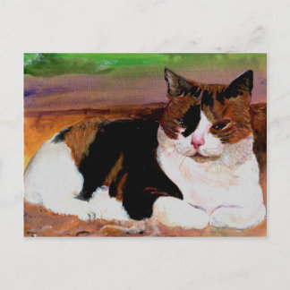Calico Cat Postcard