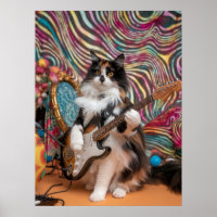 Calico Cat Rocker