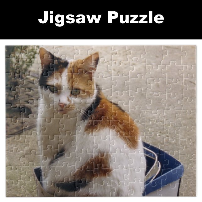 Calico cat sitting in a box in the garden jigsaw puzzle (Creator Uploaded)