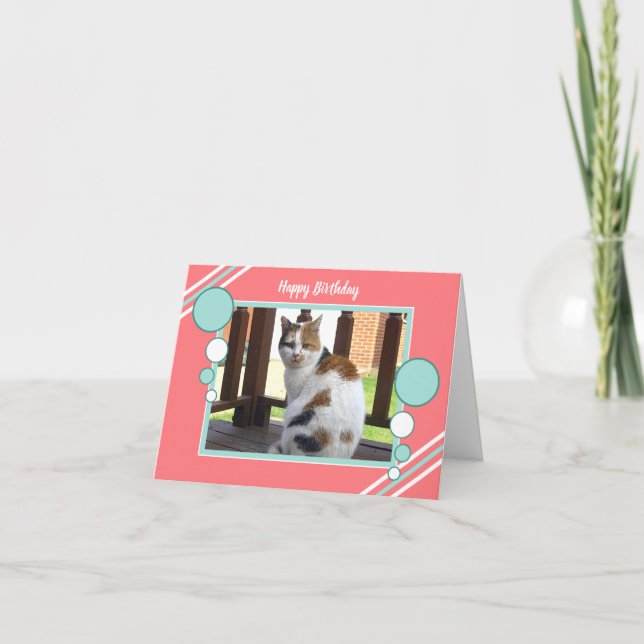 Calico cat sitting photo coral turquoise card (Front)