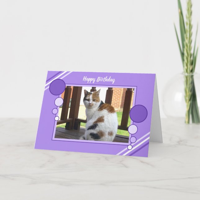 Calico cat sitting photo purple lilac birthday card (Front)