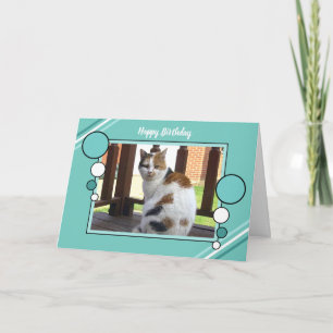 Calico cat sitting photo turquoise green birthday card