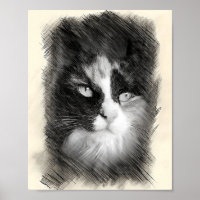 Calico Cat Sketch Art - Feline Portrait Drawing