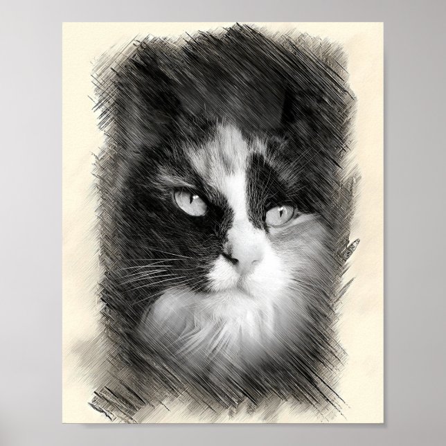 Calico Cat Sketch Art - Feline Portrait Drawing Poster (Front)