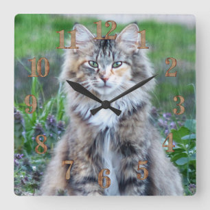 Calico Cat Square Wall Clock