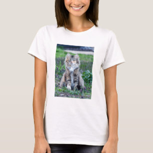 Calico Cat T-Shirt