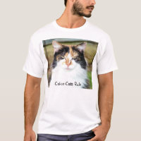 Calico Cat