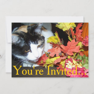 Calico Cat Thanksgiving Intitation For Dinner Invitation