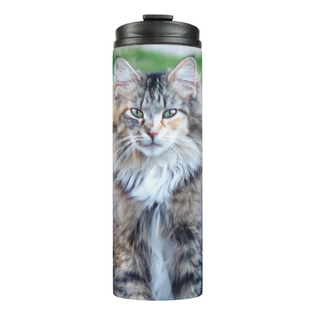Calico Cat Thermal Tumbler (Front)