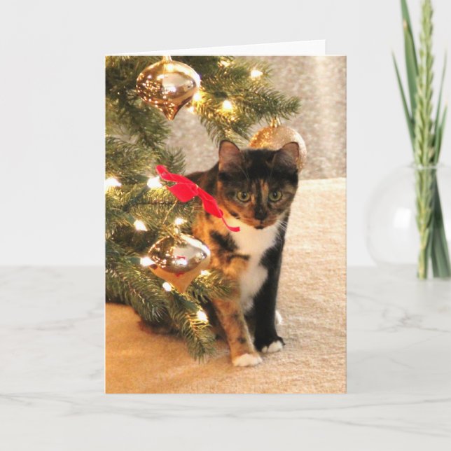 Calico Cat Under the Christmas Tree, blank inside Holiday Card (Front)
