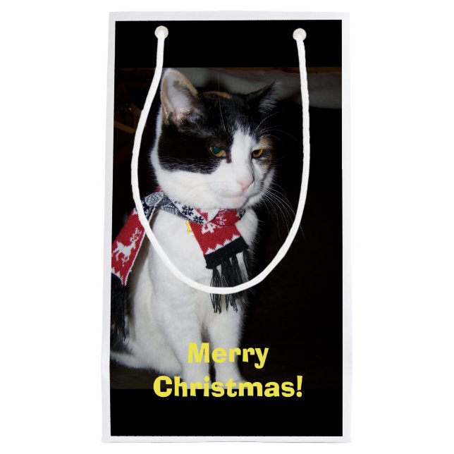 Calico Cat Wearing Scarf Gift Bag (Front)