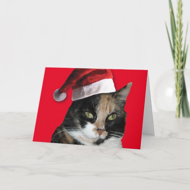 Calico Cat with a Santa Claus Hat Holiday Card (Front)