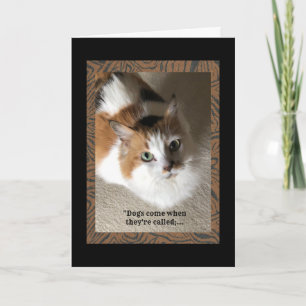 Calico Cat with humour Card