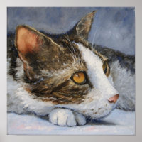 Calico Cat with Yellow Eyes Portrait 