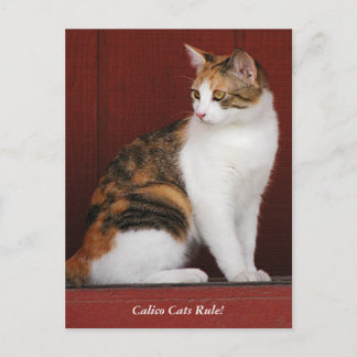 Calico Cats Rule! Post Card