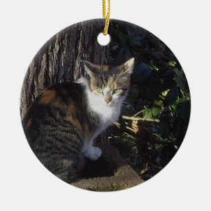 Calico Ceramic Ornament