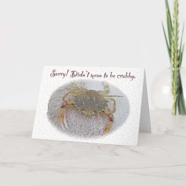 Calico Crab Sorry Card (Front)