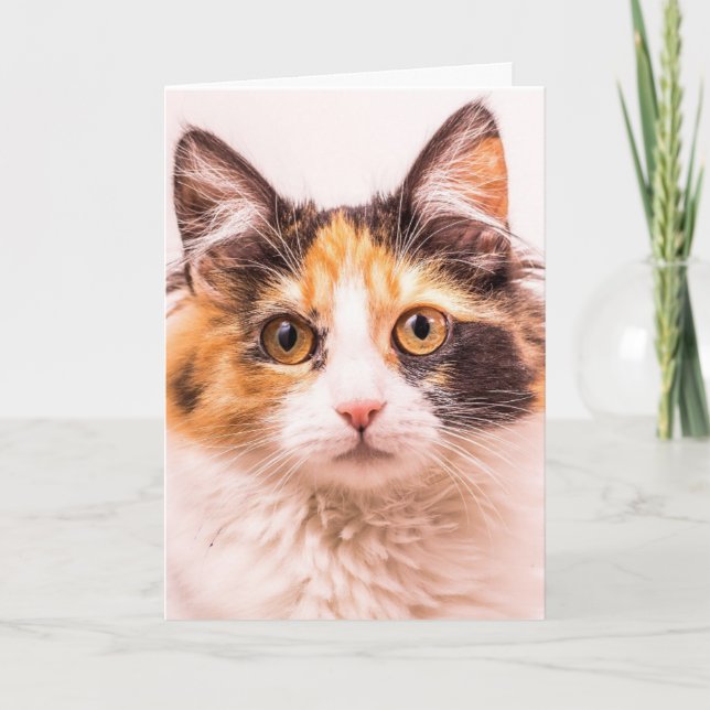 CALICO CUTE CAT BIRTHDAY GREETING CARD (Front)